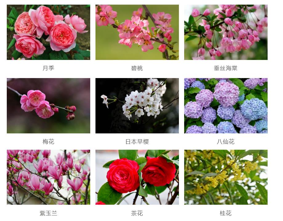 園林景觀工程如何節(jié)約成本？