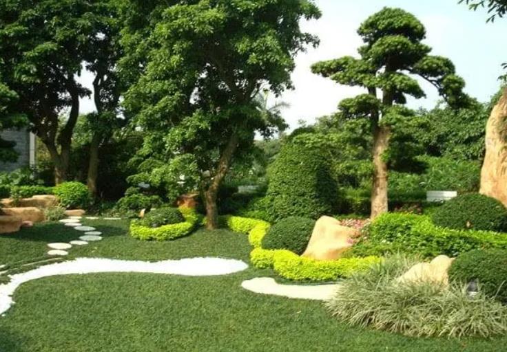園林景觀設(shè)計(jì)之植物墻設(shè)計(jì)在哪些地方適合？